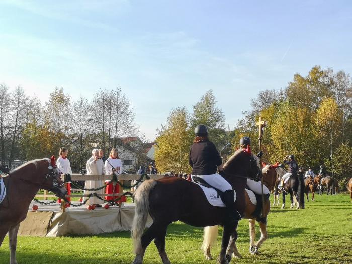 Pfarrer Siegfried Felber segnete die Pferde beim Leonhardiritt am vergangenen Sonntag in Bad Gögging. 