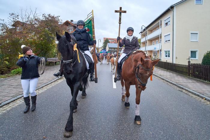 Zu Ehren des Heiligen Leonhard ziehen am 30. Oktober 2022 beim Leonhardiritt zahlreiche Pferde und Kutschen durch Bad Gögging.
