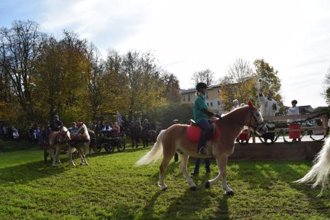 Pfarrer Alex Thekkekutt segnete die Pferde beim Leonhardiritt am vergangenen Sonntag in Bad Gögging.