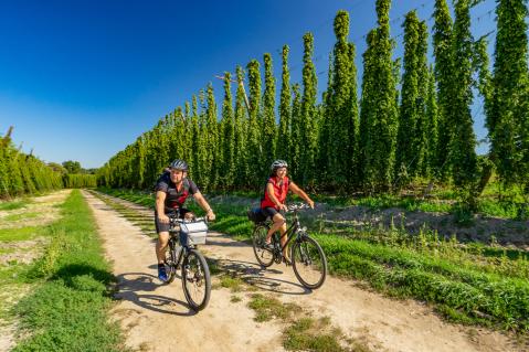 Abwechslungsreiche Rad- und Wanderwege führen entlang der schier unendlichen Hopfengärten und zu urig bayerischen Plätzen, die zum Verweilen und Kraft tanken einladen.