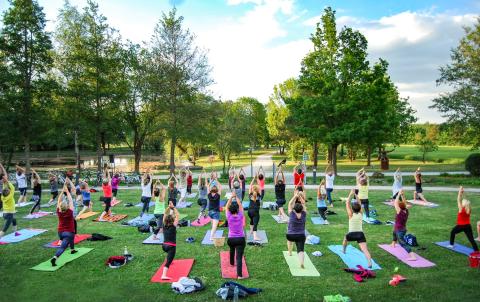 Entspannung mitten in der Natur genießen die Teilnehmer ab 10. Mai wieder bei „Yoga im Kurpark“ in Bad Gögging. Dieses Jahr bereits im fünften Jahr in Folge. 