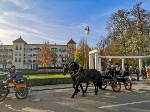 Zum Abschluss präsentierten sich die geschmückten Pferde und prachtvollen Kutschen beim Umzug durch Bad Gögging.